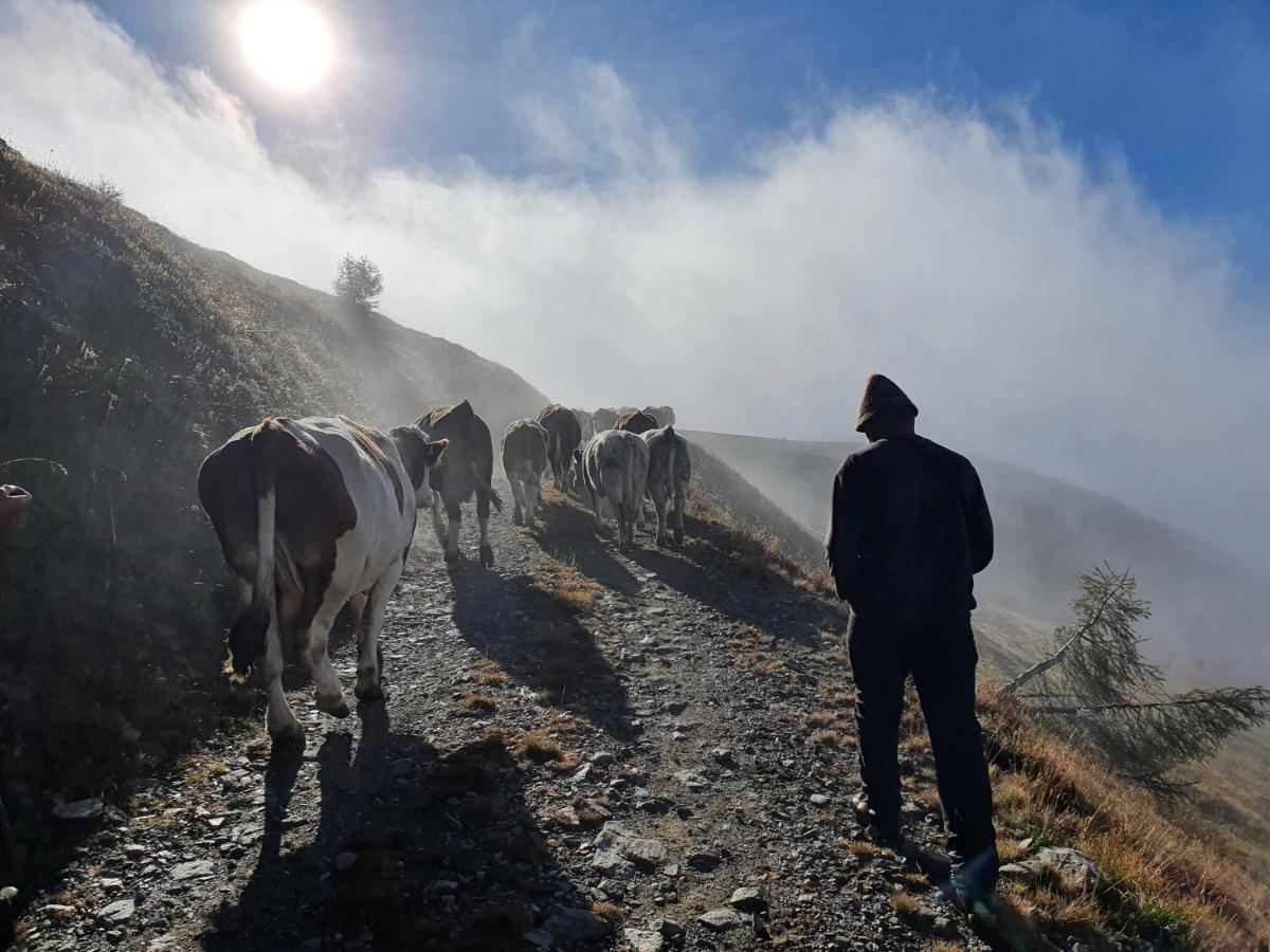 Mascherhof Obertilliach Dış mekan fotoğraf
